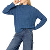 Indigo den m nit cable sweater turtle neck by Marilyn Moore